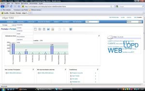 entradavtigercrm 1024x640